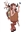 LaVida60941's avatar