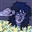 RunawaySpirit's avatar