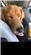 KentoLanysta's avatar