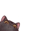 Nymbrixia's avatar