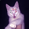 atroposse's avatar