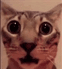 BTWTOUCHGRASS's avatar