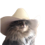 Dill98's avatar