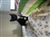 mxx9jkxtm4's avatar