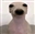 fushimeow's avatar