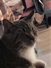 JwilksBooth's avatar