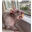 BotanicalBoy's avatar