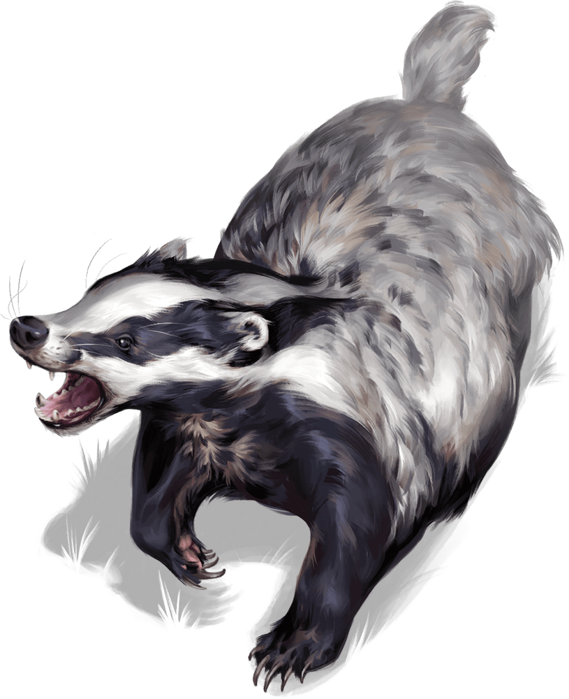 Badger