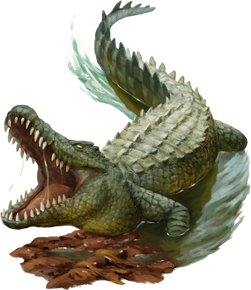 Crocodile