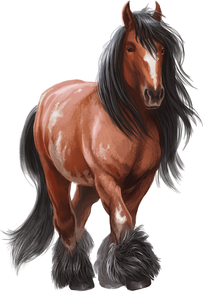 Draft Horse