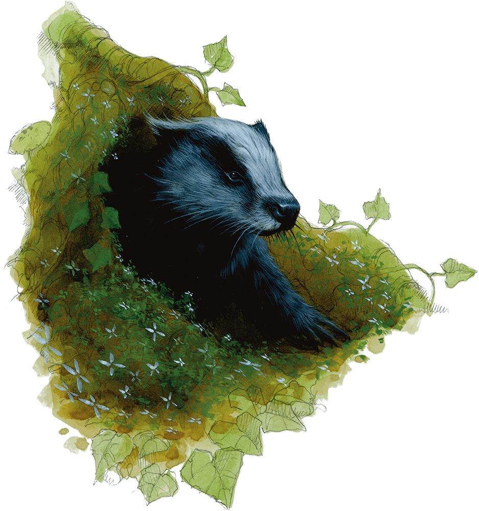 Giant badger monsters d d beyond