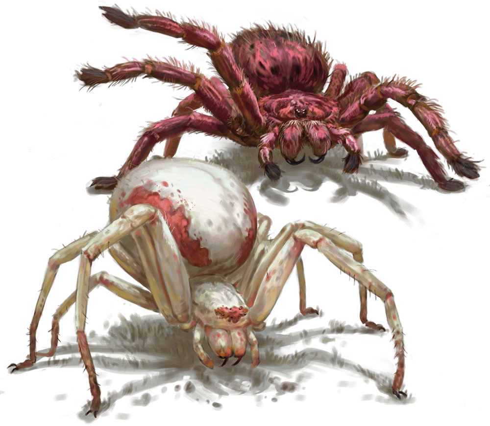 Giant Spider