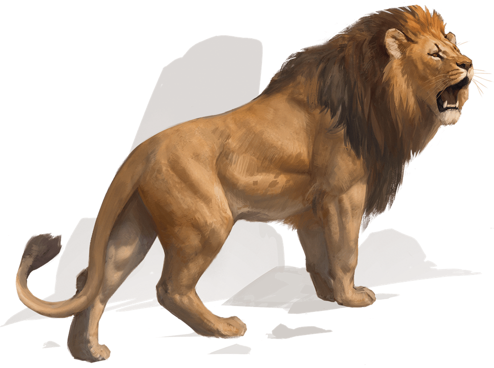 Lion