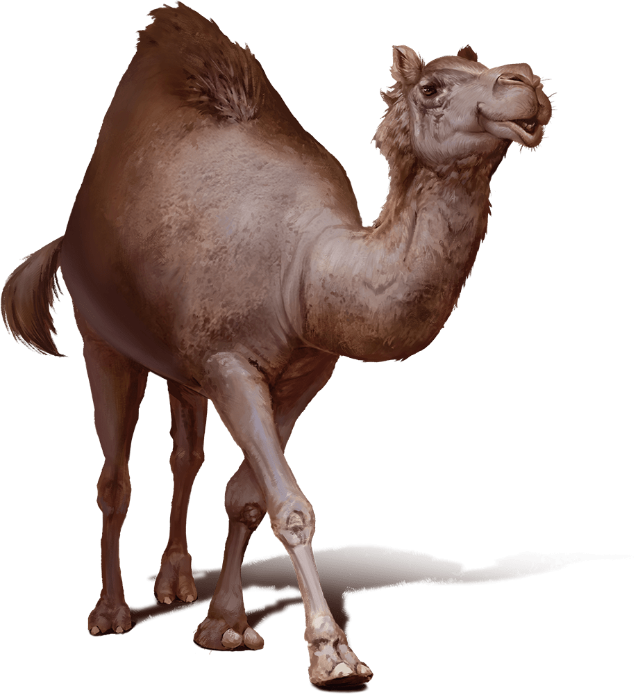 Camel monsters d d beyond
