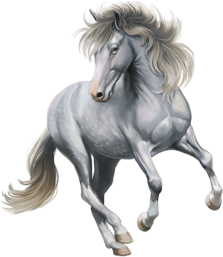 Pony