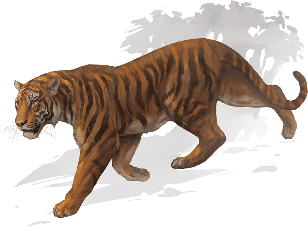 Tiger monsters d d beyond