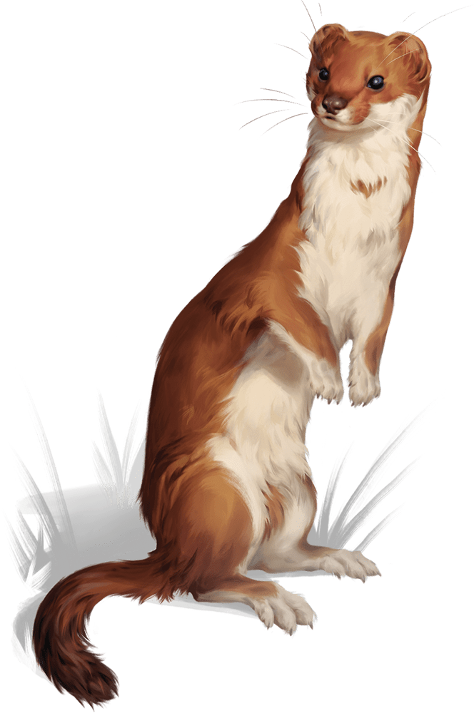 weasel stat block
