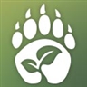 Druid
