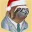 Almanac's avatar