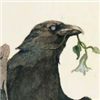 Wiseclaw's avatar