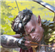 GarrettKP's avatar