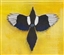 Vedar's avatar