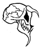 DM_NimToastHater's avatar