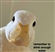 Ellie_the_cat13's avatar