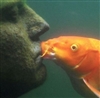 six_possums's avatar