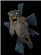 Daege's avatar
