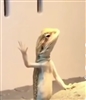 Nam1v9's avatar