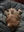 NorseGodLoki's avatar