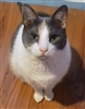 Ms_Fran12's avatar
