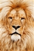 Dr_FeelGoodInc's avatar