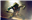daniel311993's avatar
