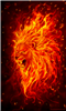 Ferretpelt's avatar
