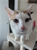 Hamster_Emperor's avatar