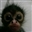 Mamoog's avatar