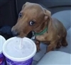 MariaMcflurry's avatar