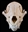 WolfJarl's avatar