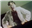 FergusQuill's avatar