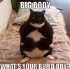 KingAidan's avatar
