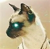 Barx's avatar