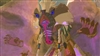 MalanyaTheHorseGod's avatar