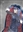 _LonePhoenix's avatar