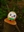 Lord_of_thunder_The_Goat's avatar
