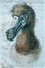 Saurophilius_rex's avatar
