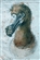 Saurophilius_rex's avatar