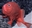 CubicDoom's avatar