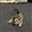Orsros's avatar